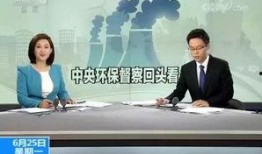 央视新闻爆料淀粉厂是真的吗,淀粉厂真相曝光，事实究竟如何？